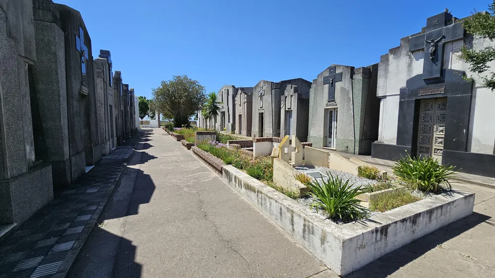 99116ea5-7668-4810-9096-e1999a14114e