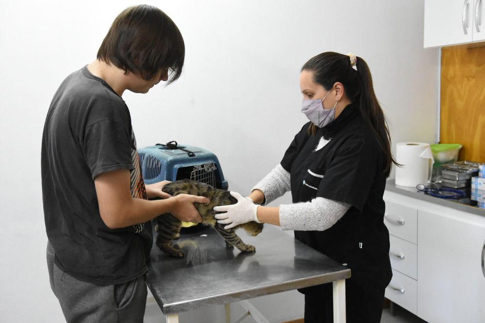 WhatsApp Image 2023-10-17 at 5.19.00 PM