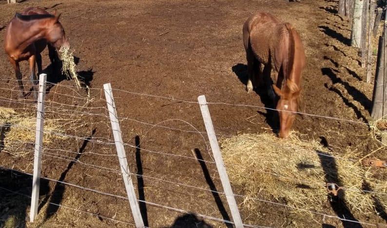 WhatsApp Image 2024-01-12 at 8.47.16 PM