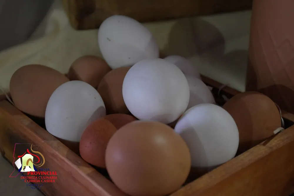 456121576_908606054619344_1110198663940180625_n