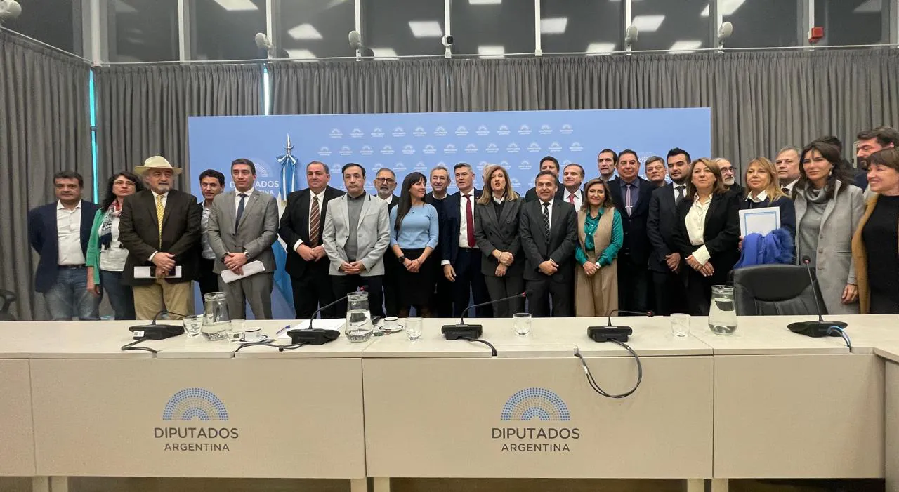 WhatsApp Image 2024-06-04 at 2.12.33 PM