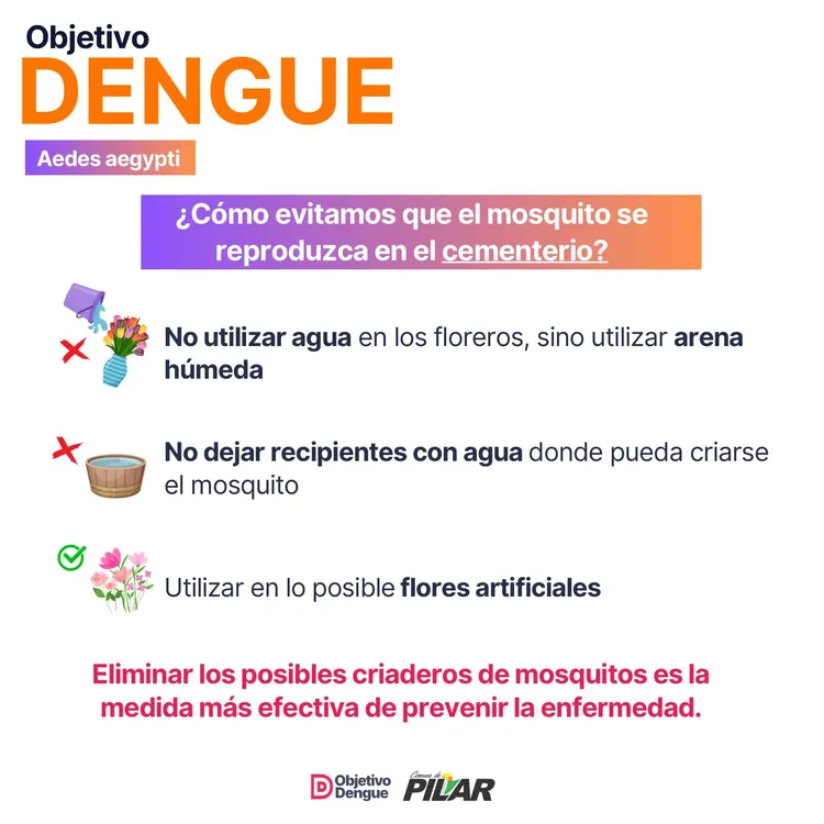 WhatsApp Image 2024-10-24 at 12.33.15 PM (2)