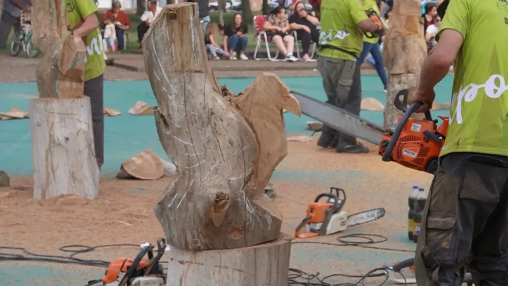 b395d006-0ede-482a-bc5e-0238af23a1f9