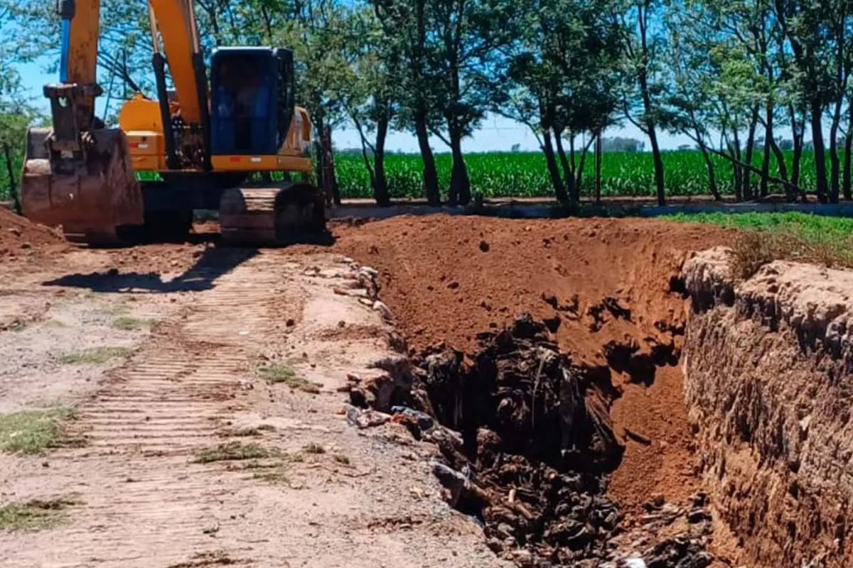Vignaud cicatrizacion basural