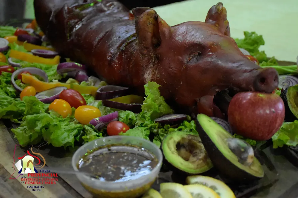 455946447_908606287952654_4271950081806659697_n