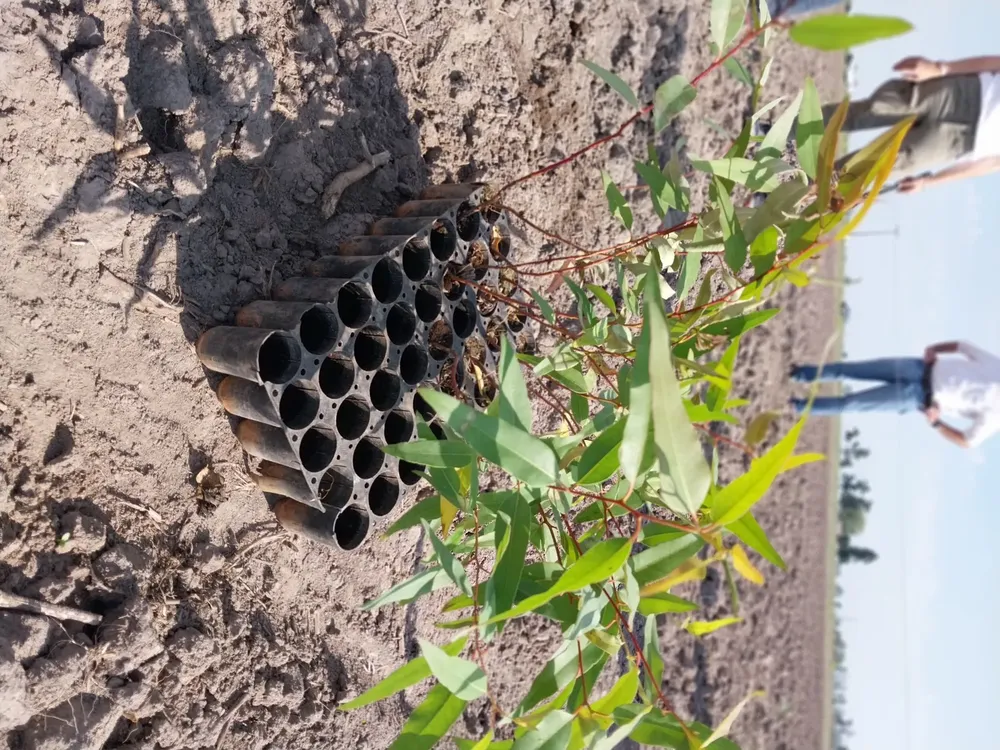 90345fdd5e7279a5e08902c744d7c61820537dfa