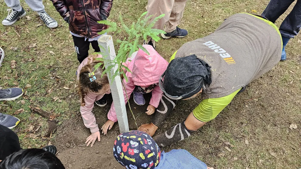 f0a6d77c-bdb4-4804-a249-55bbcdcfac9d