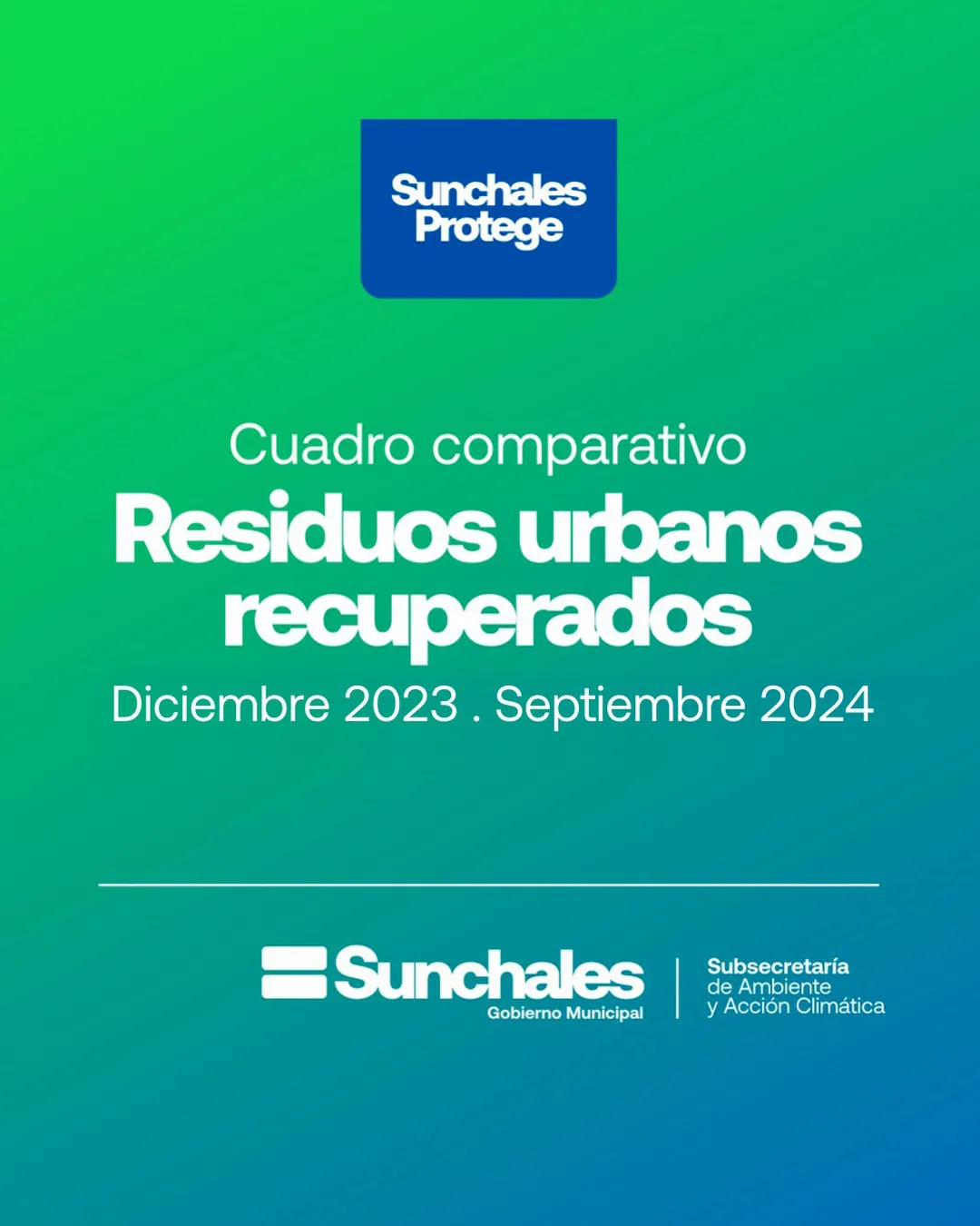 WhatsApp Image 2024-11-26 at 11.08.11 AM