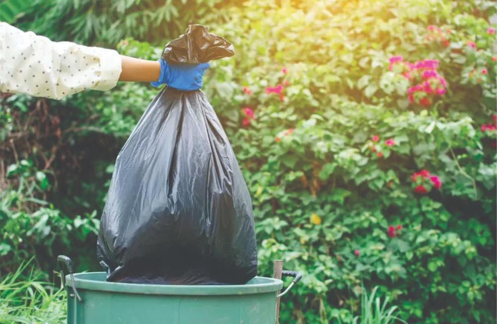 WhatsApp Image 2023-10-06 at 9.45.36 AM