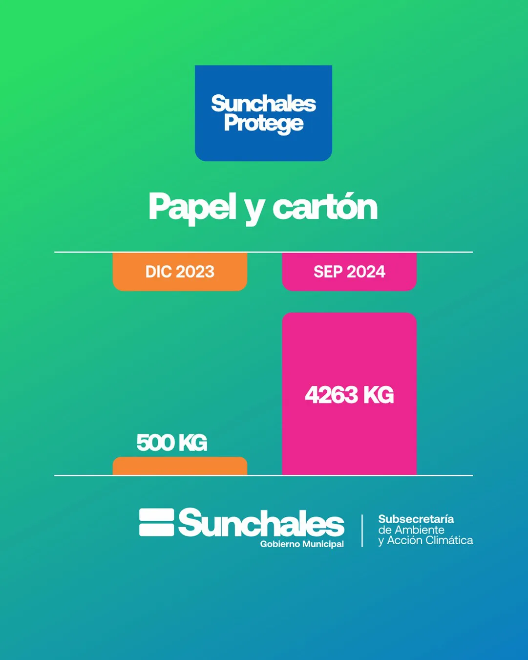 WhatsApp Image 2024-11-26 at 11.08.11 AM (2)