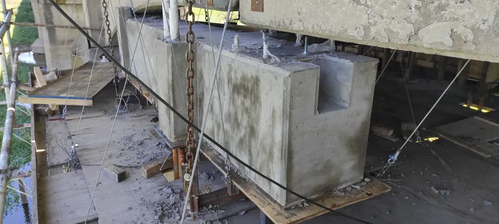 WhatsApp Image 2024-10-29 at 7.09.41 AM (2)