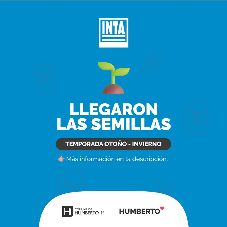 434264017_7263150360438148_5252328965037837562_n