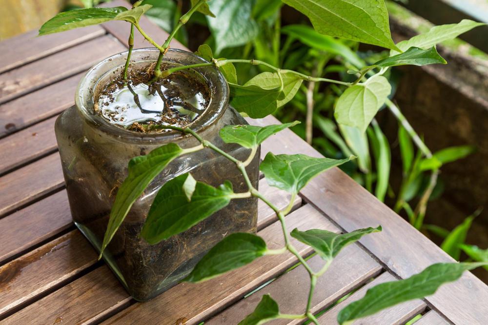 WhatsApp Image 2024-02-23 at 10.54.43