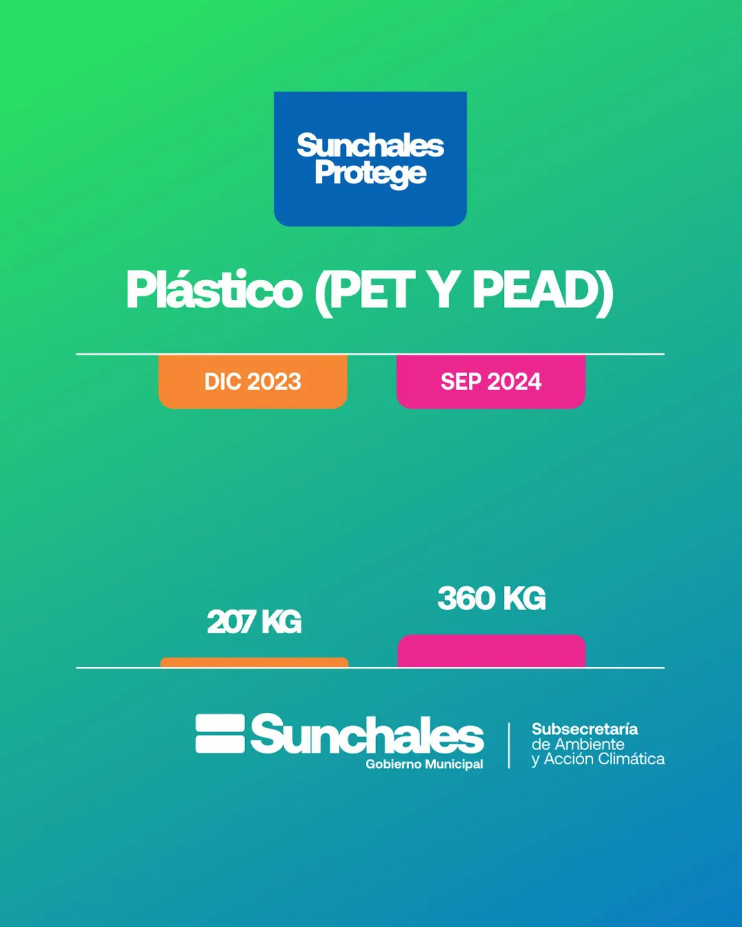 WhatsApp Image 2024-11-26 at 11.08.11 AM (3)