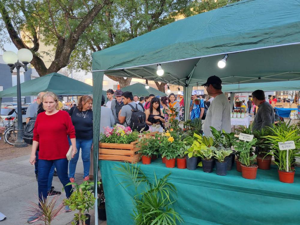 IMG-20230808-WA0026 (1)