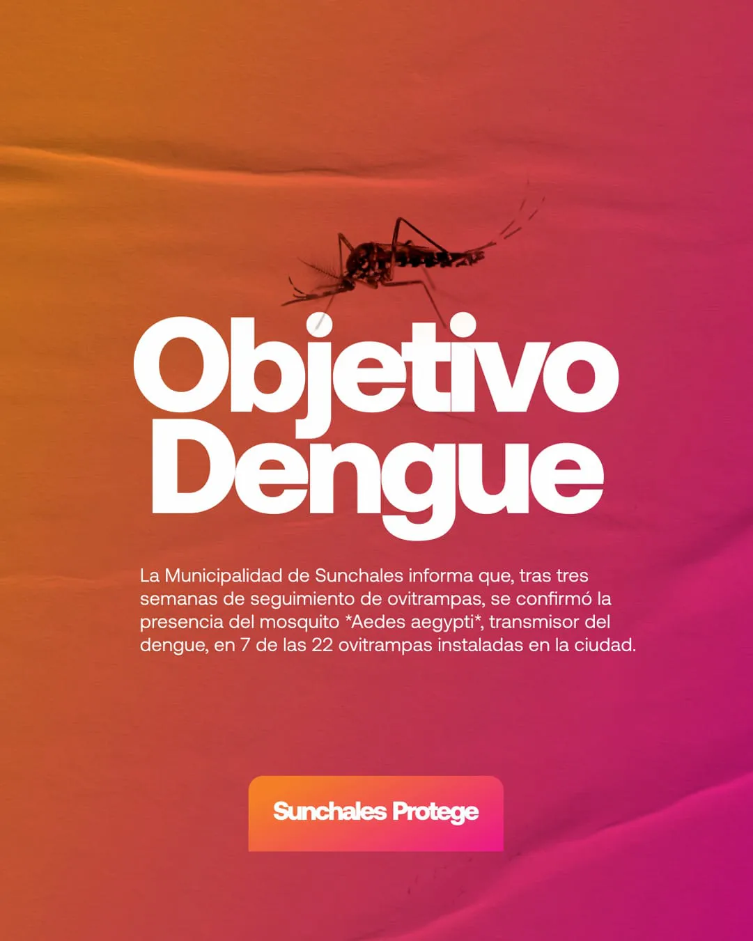 513013b6-9527-4438-9610-6244f86ddeea