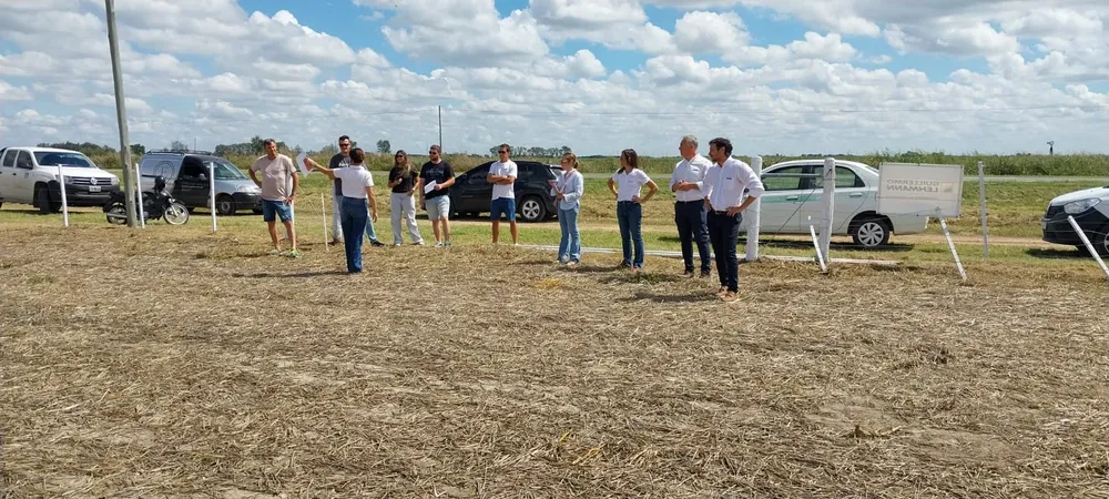 WhatsApp Image 2026-03-17 at 12.22.45