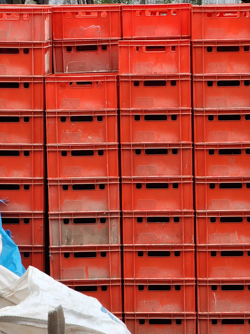 WhatsApp Image 2025-07-11 at 2.08.02 PM