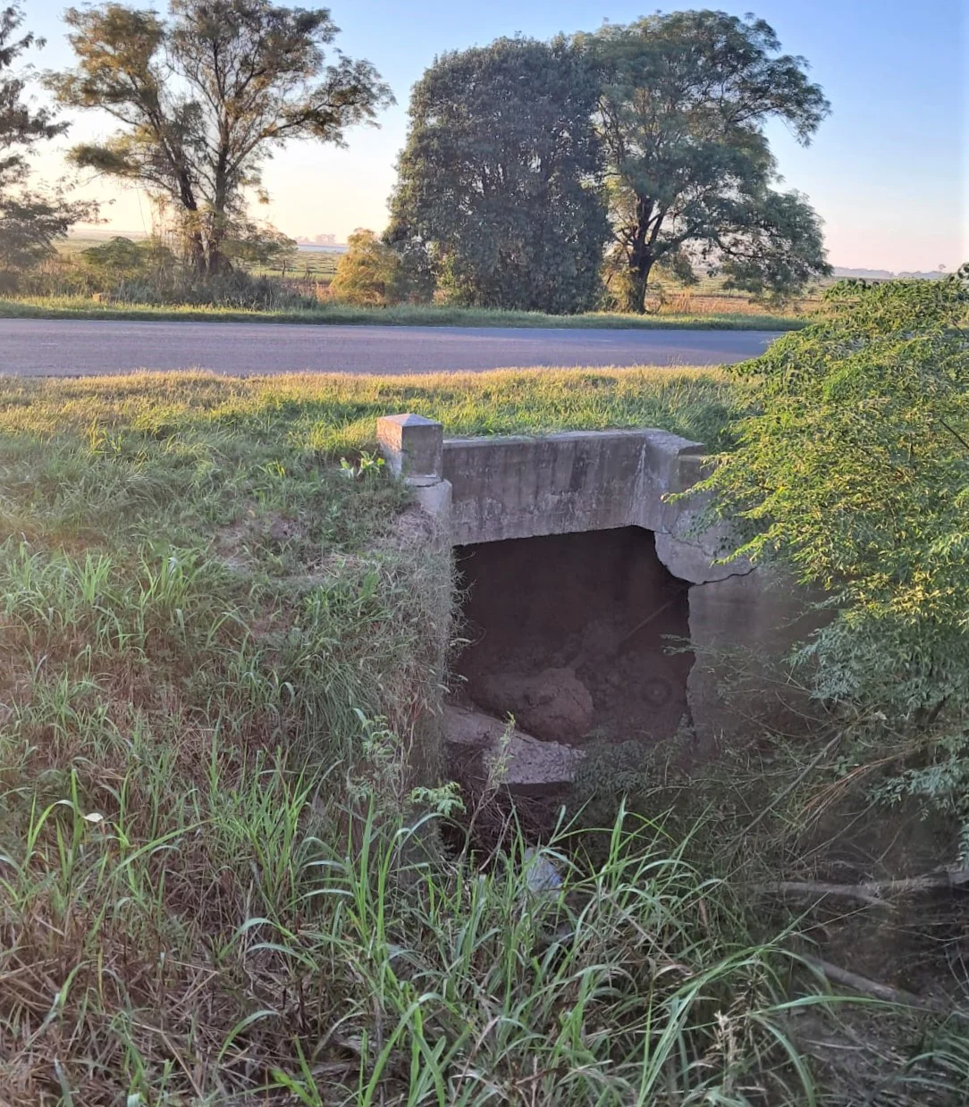 WhatsApp Image 2026-03-31 at 16.10.56