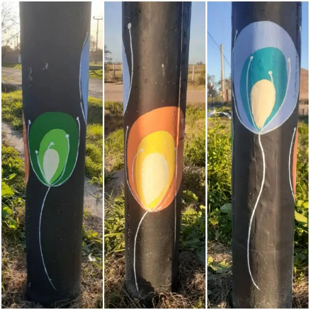 449522234_1135853204161541_8955238584193313722_n