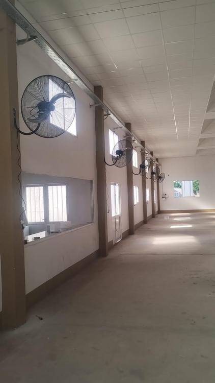 409761967_756052253233493_622721617479771411_n