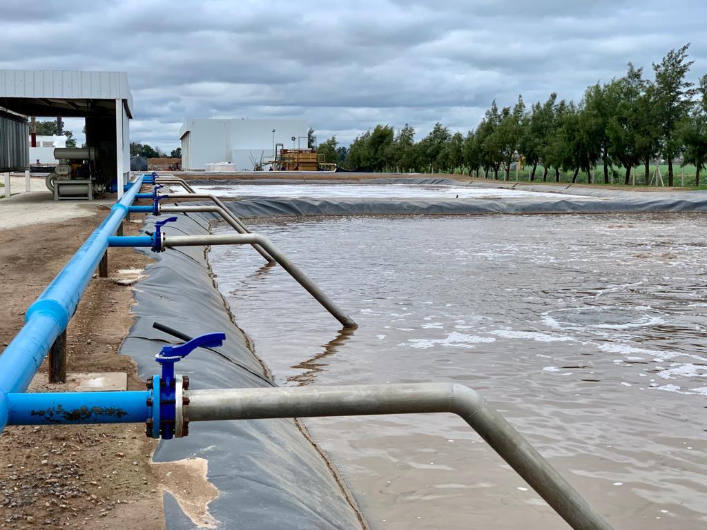1 - Reactores de aireación con difusores de burbujas finas