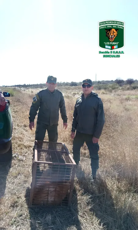 WhatsApp Image 2025-08-04 at 10.30.30