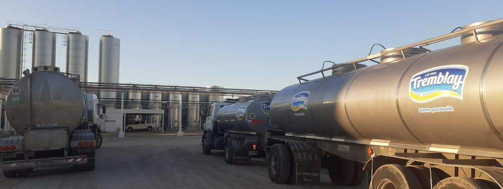 WhatsApp Image 2023-07-17 at 19.41.26