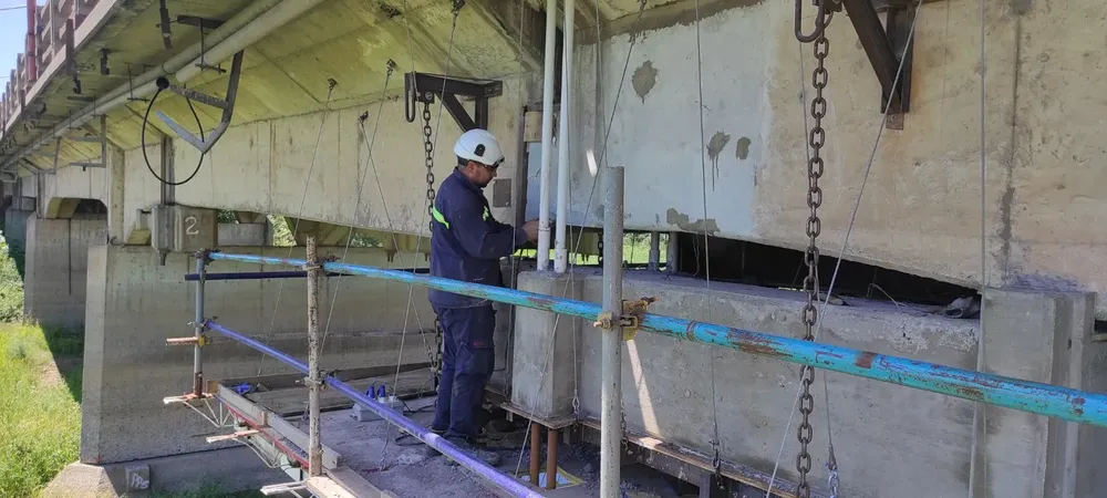 WhatsApp Image 2024-10-29 at 7.09.41 AM (3)