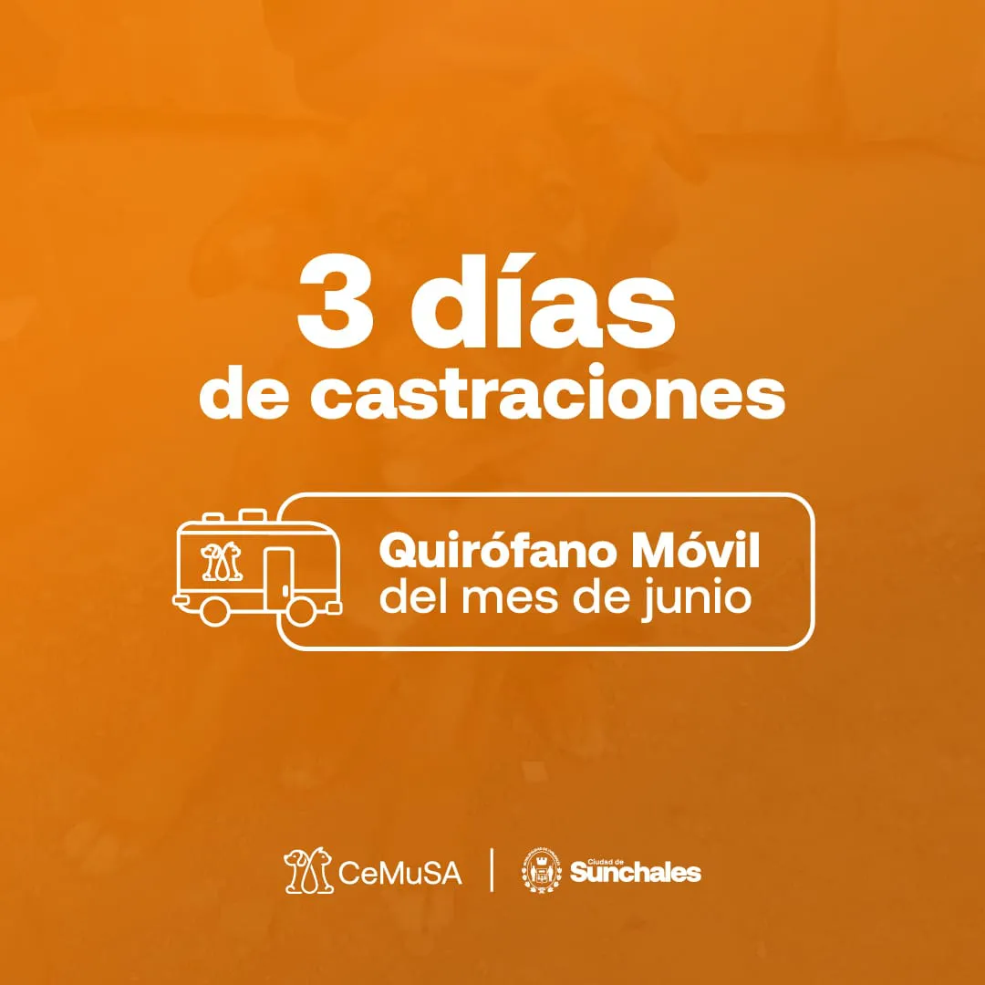 WhatsApp Image 2024-07-15 at 11.02.59 AM