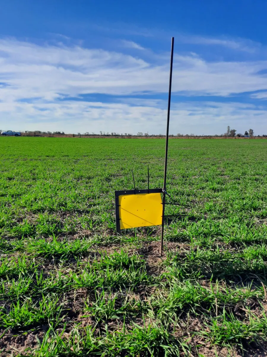 2e1288a4ee3c8888a2de494d0794fd9ec1cbddb5