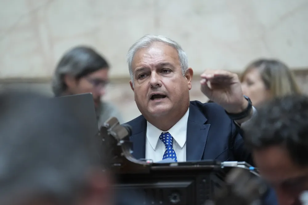 WhatsApp Image 2026-03-27 at 19.44.43