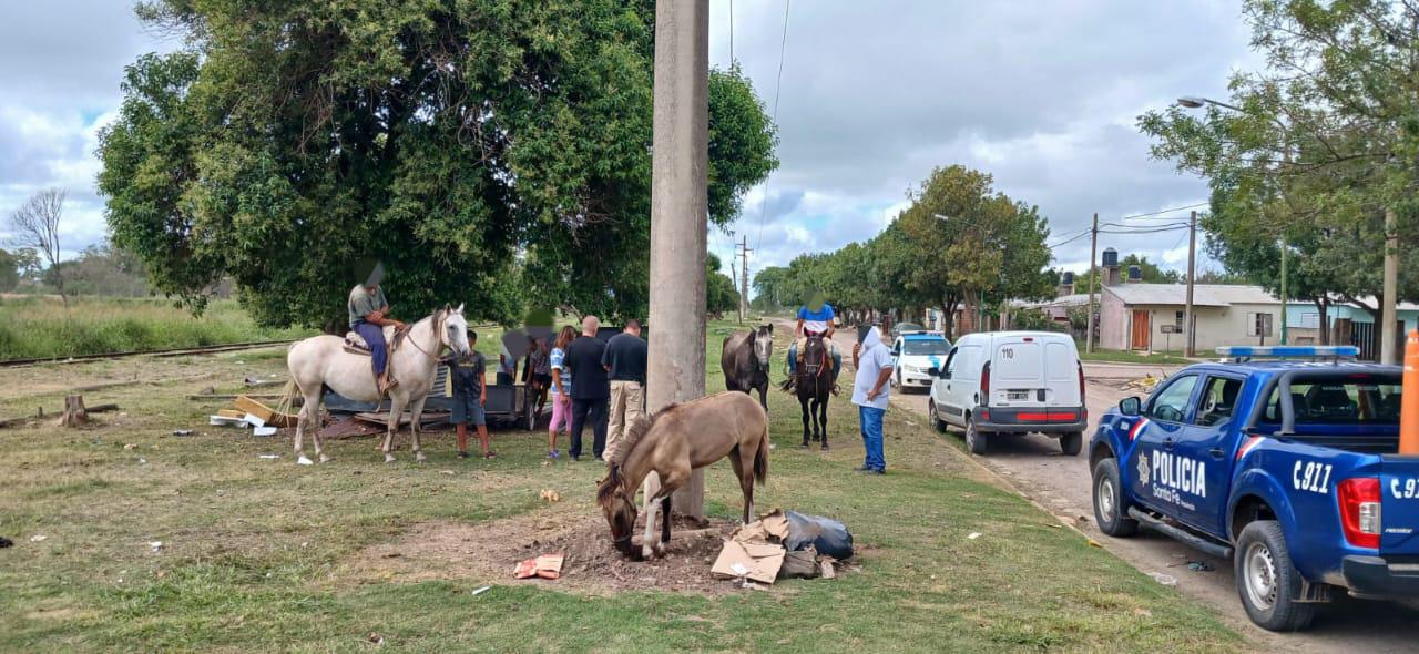 WhatsApp Image 2024-01-18 at 3.31.40 PM (1)