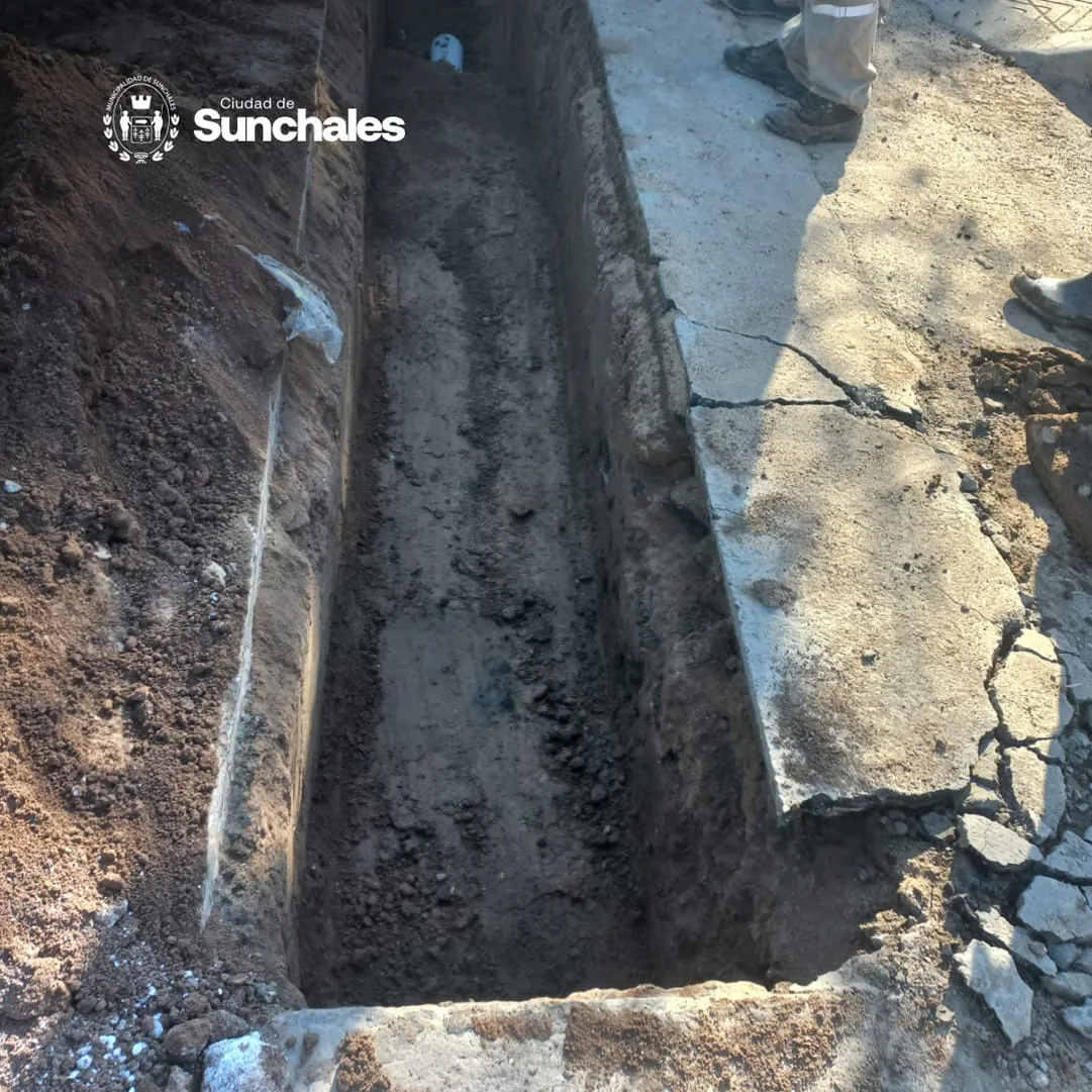 WhatsApp Image 2024-07-12 at 5.04.25 PM (3)