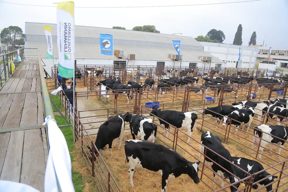 5405c131-a180-4958-899b-0545ee265e1e