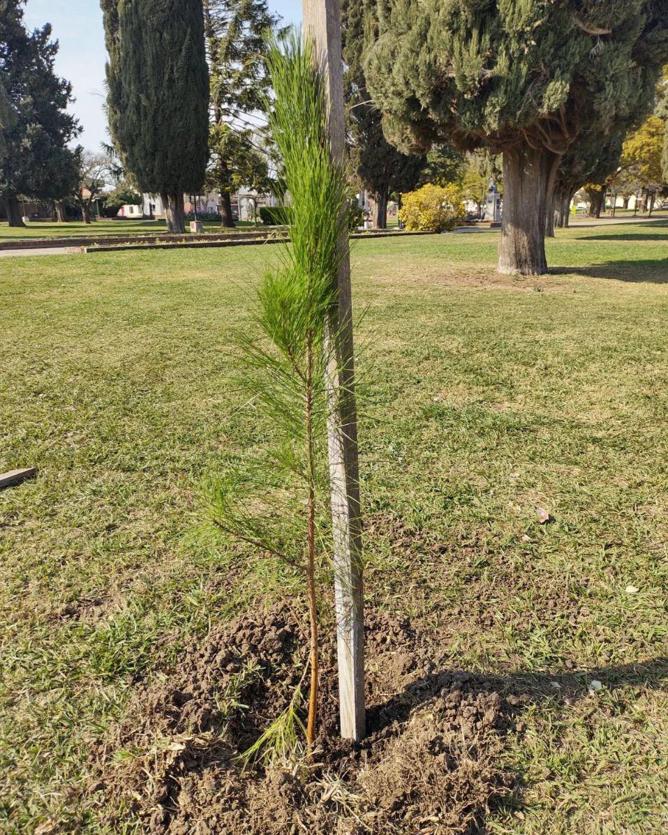 380528650_740089698157816_4178682577358601070_n