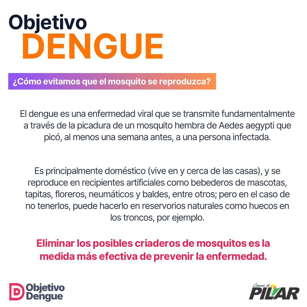 WhatsApp Image 2024-10-24 at 12.33.14 PM