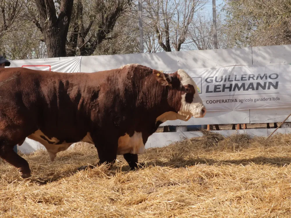 807c93e9d2b49c3db5f8358284732fb6da01ee96