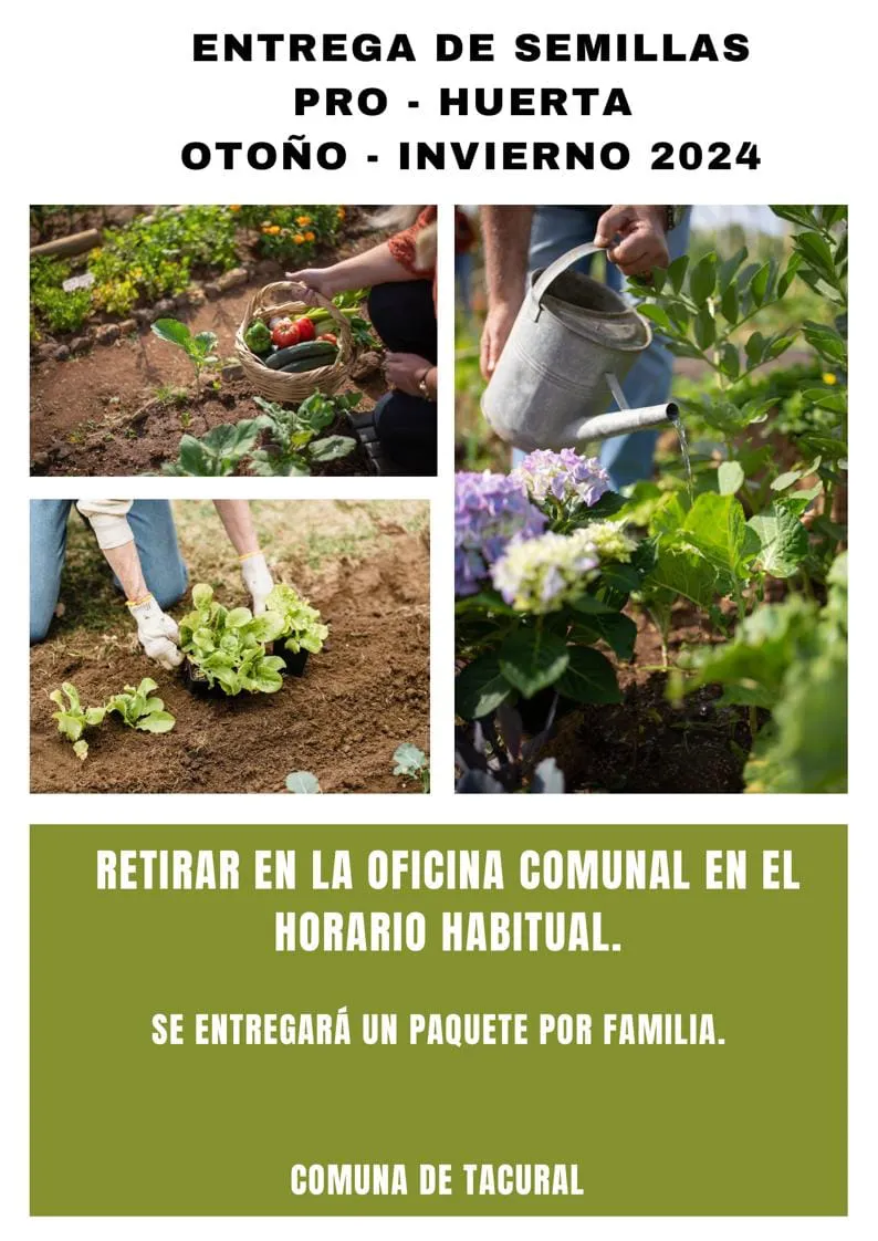 433926852_1621044402045036_4698967773948720710_n