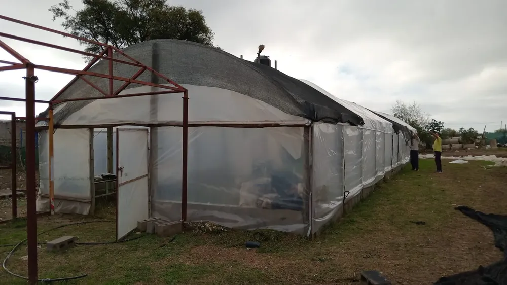 José Barbero - Invernadero