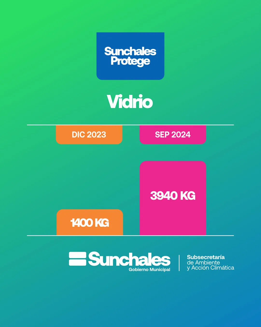 WhatsApp Image 2024-11-26 at 11.08.11 AM (1)