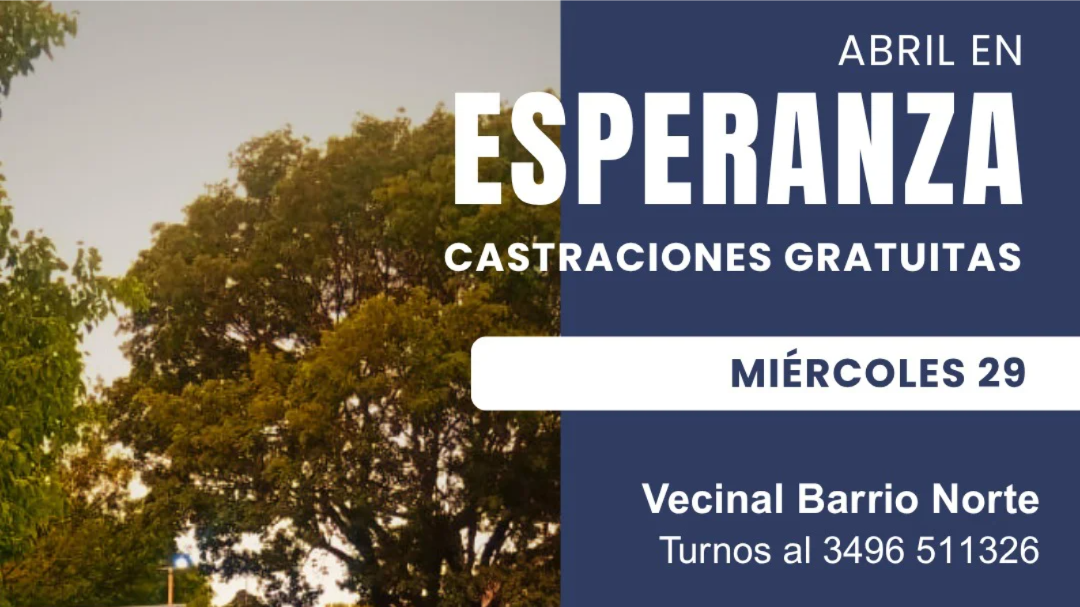 24065f44-5c61-479c-99b9-f1c423b0f9dc