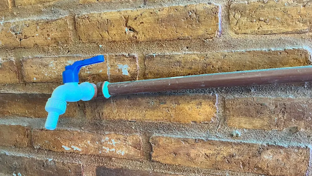 WhatsApp Image 2024-12-31 at 3.20.05 PM (1)