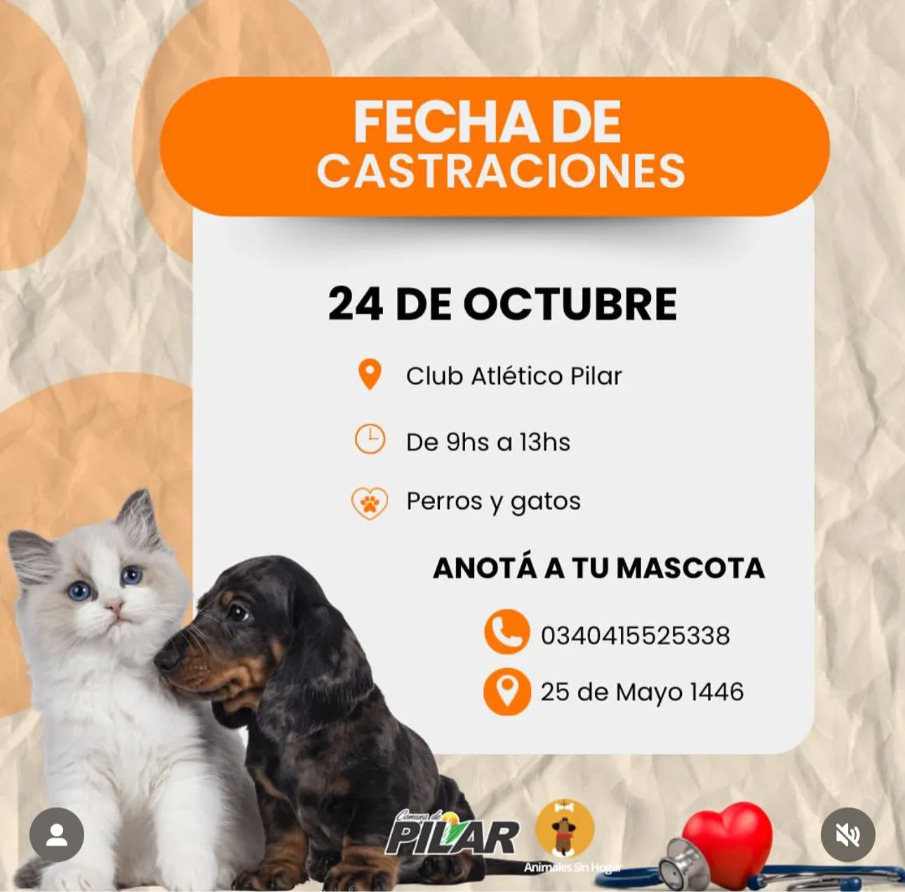 2d94d8d8-7bef-433e-abb4-ff909dbc1e4a