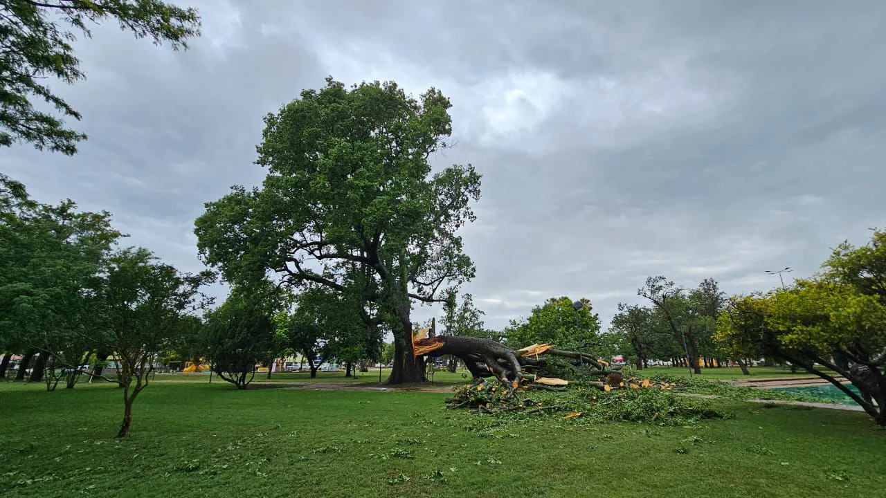 3629f1e3-e018-4e04-83c9-604159d03edf