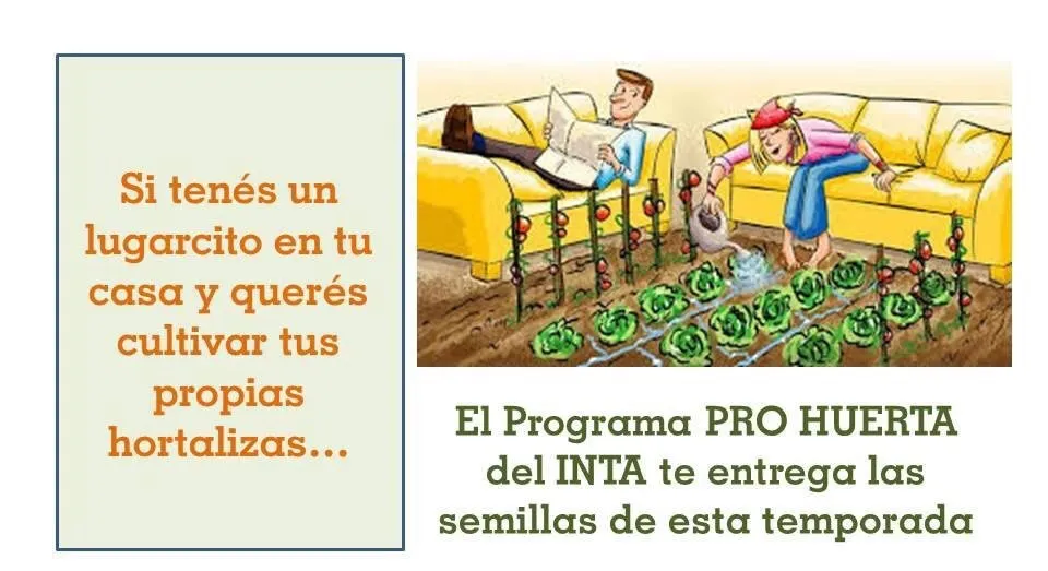 434261662_2214920058840595_7680985200882603340_n