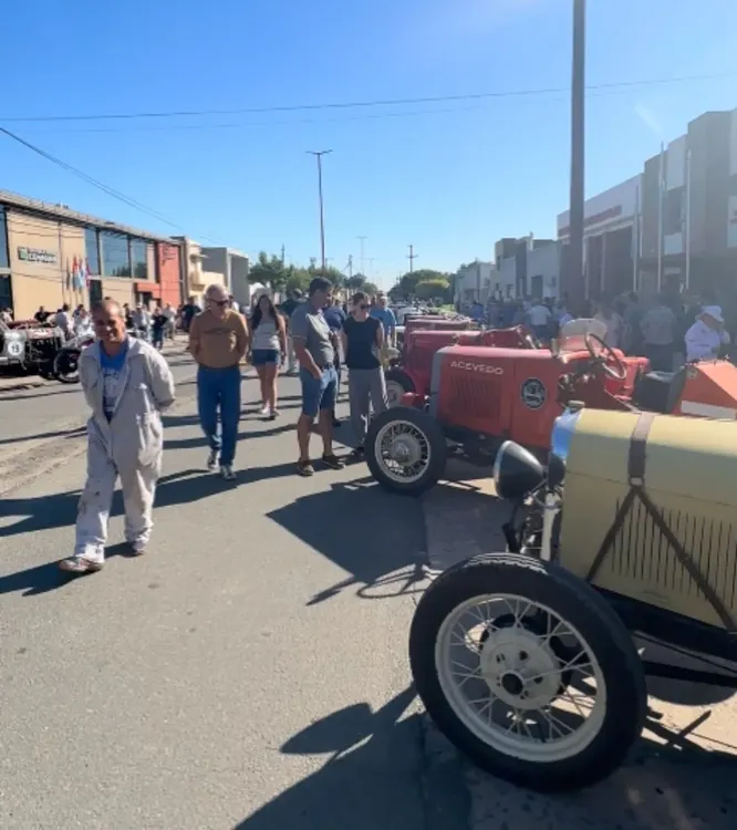 WhatsApp Image 2025-03-31 at 12.51.39 PM