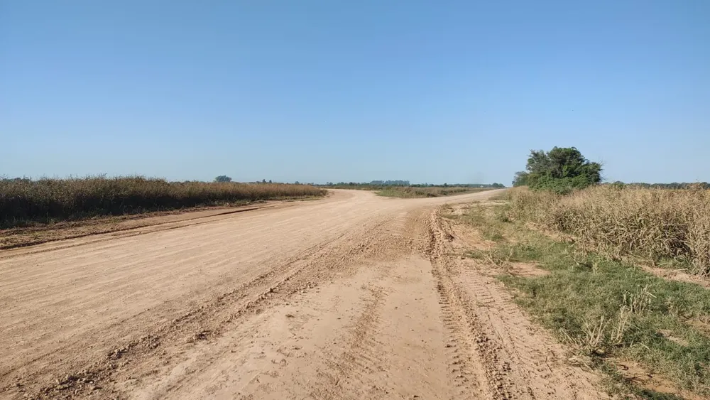 WhatsApp Image 2025-04-16 at 4.10.33 PM