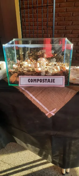 455707396_1527847051495754_2726125468897649929_n