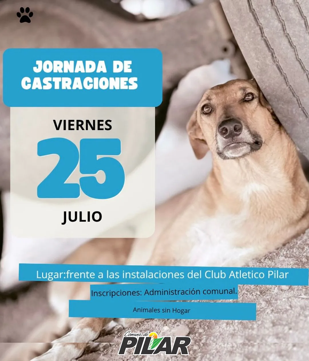 5f51ecf8-2469-42fc-95aa-7ecb1dcaa8ed